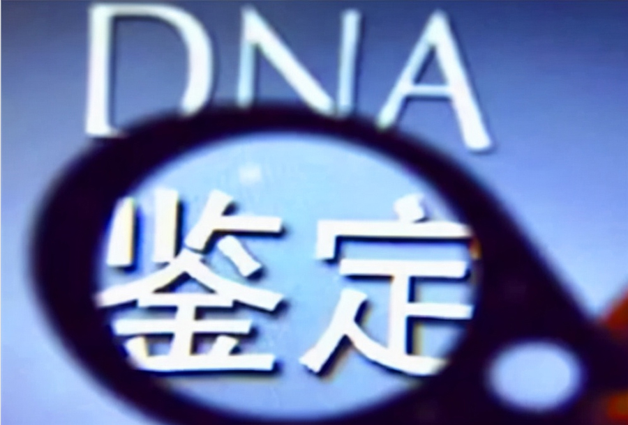 银川医院办理亲子鉴定所需的生物检材有些什么,银川医院办理DNA鉴定出结果要多久