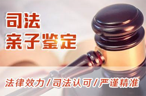 银川司法亲子鉴定哪里能做,银川司法DNA鉴定程序是什么